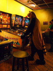 Joseph plays a coati playing pinball.