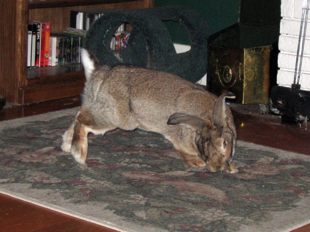 Stephen cutting loose.