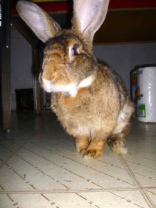 Stephen under Tri Zone.