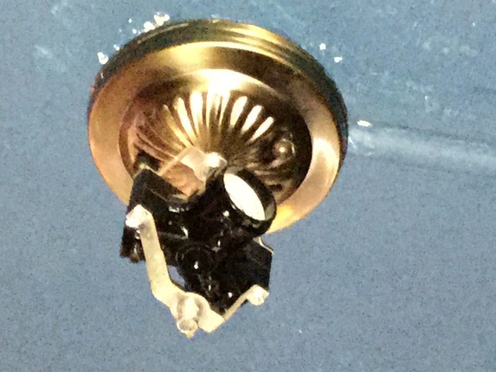 The light fixture, empty, and with a tiny flake of something I'm told is Josh's skin on it.